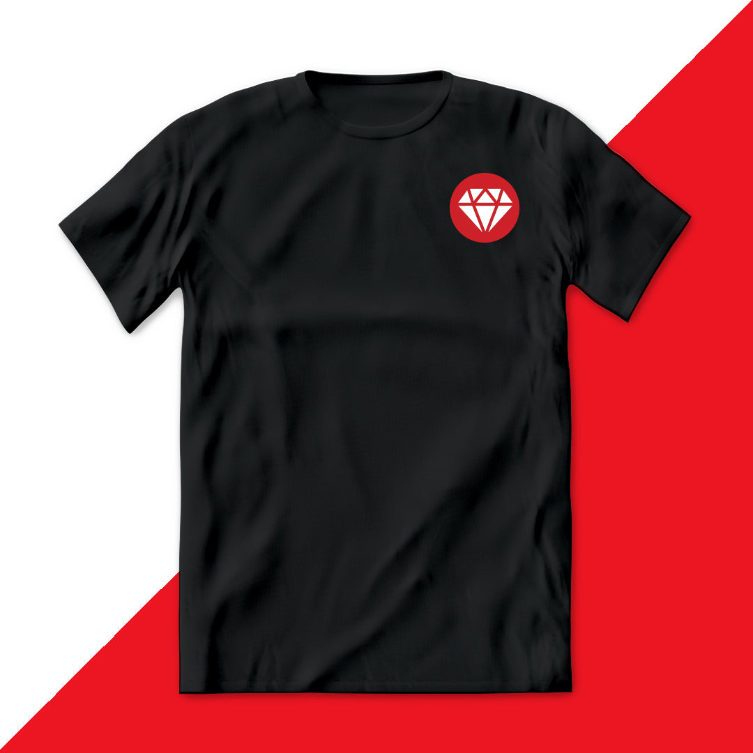 CAMISETA LOGO LAT DEVELOPER RUBY OLD